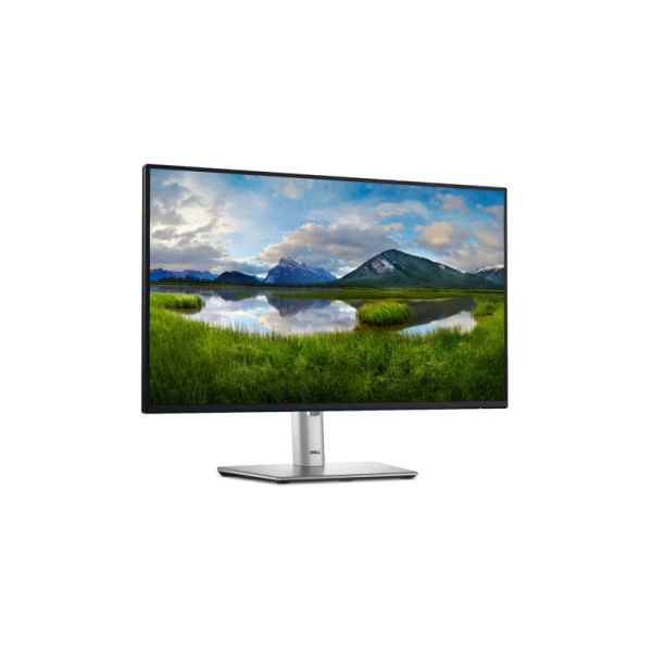 Monitor Dell P2425HE