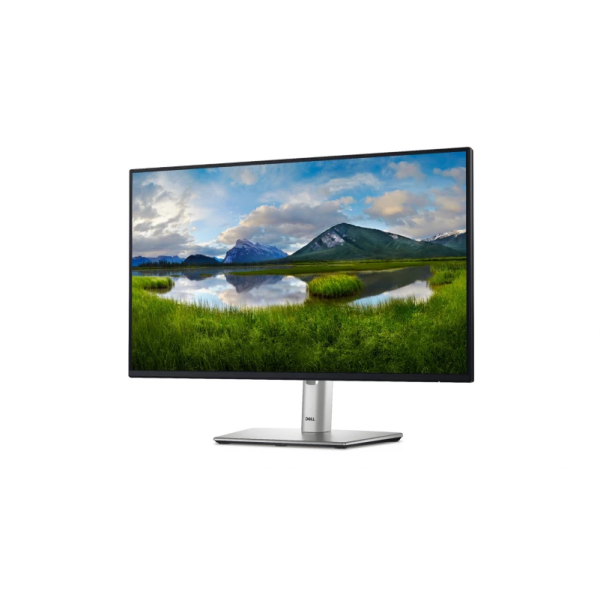 Monitor Dell P2425HE