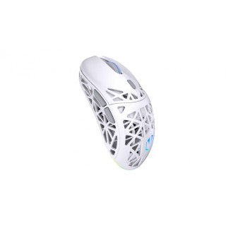 ENDORFY LIV Plus Wireless Onyx White