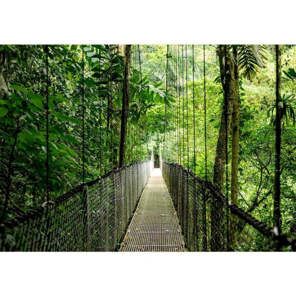 Laptop HP EliteBook 6 G1a 14 C51G8ET Ryzen AI 5 340 14" WUXGA 16GB 512SSD W11Pro