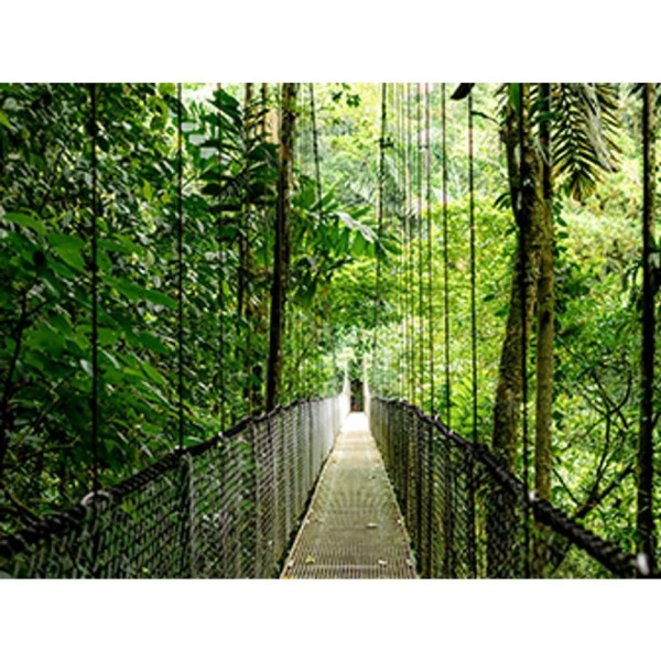 Laptop HP EliteBook 6 G1a 14 C51G8ET Ryzen AI 5 340 14" WUXGA 16GB 512SSD W11Pro