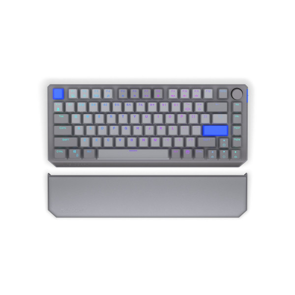 ENDORFY Thock 75% Palm Rest V2