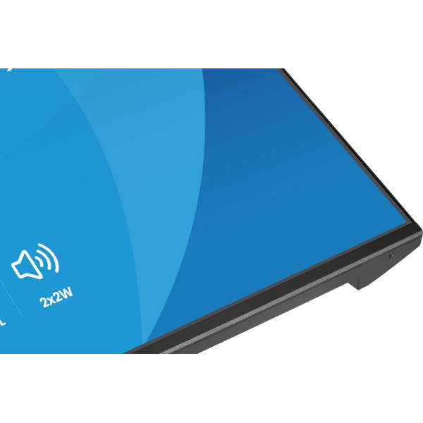 iiyama ProLite X2493HSU-B1