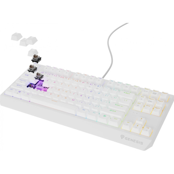 Genesis Thor 230 TKL biała RGB Outemu Brown