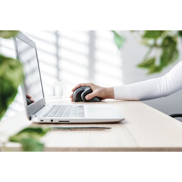 MYSZ TRUST Verro Ergonomic Wireless Mouse