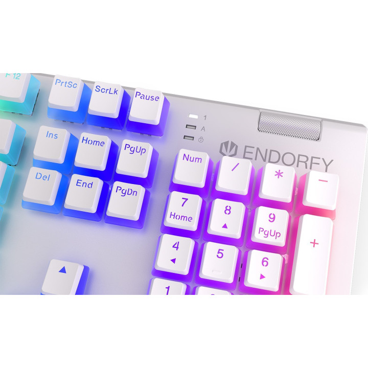 Klawiatura gamingowa ENDORFY Omnis OWH P. Kailh BR RGB