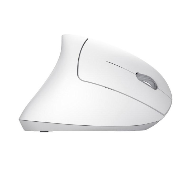 Mysz bezprzewodowa TRUST VERTO WIRELESS ERGO MOUSE WHT