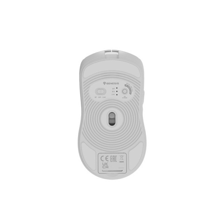 Genesis Zircon 500 biała