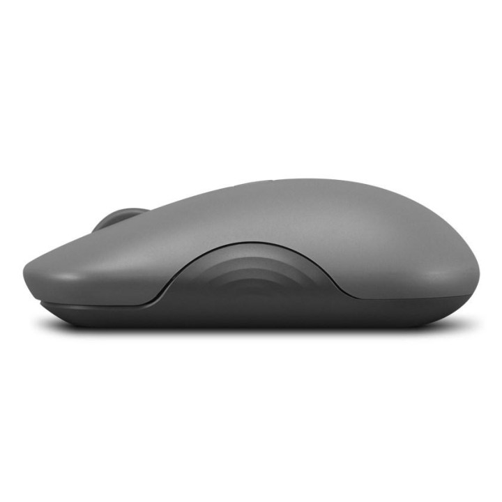 Lenovo 350 Bluetooth Silent Mouse (Luna Grey)