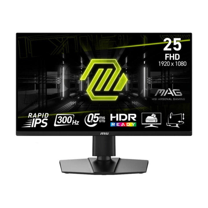 MSI MAG 255PXF - 24.5'' | Rapid IPS | Full HD | 0.5ms | 300Hz