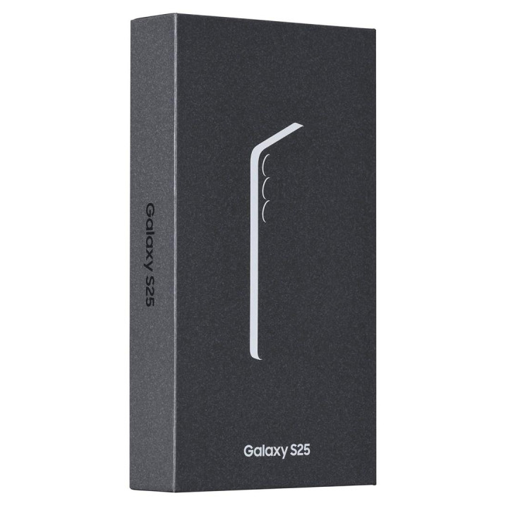 Samsung Galaxy S25 (S931) 5G DS 12/256GB Mint