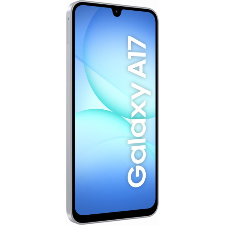 Samsung Galaxy A17 (A175) DS 8/256GB Grey