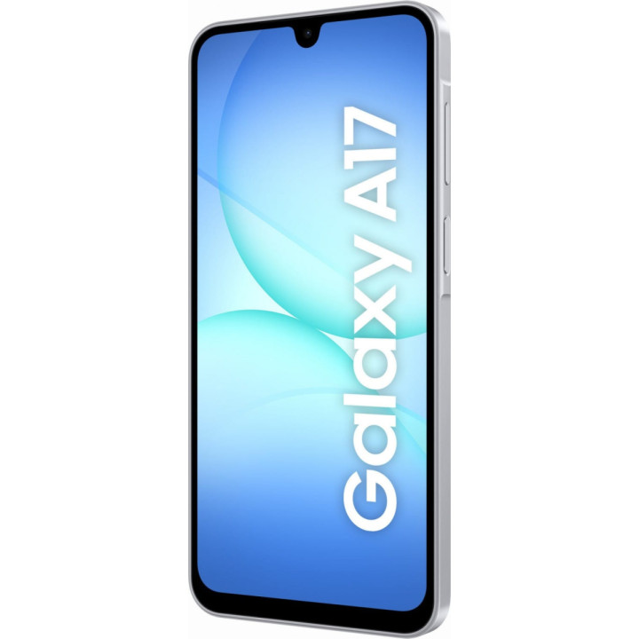 Samsung Galaxy A17 (A175) DS 8/256GB Grey