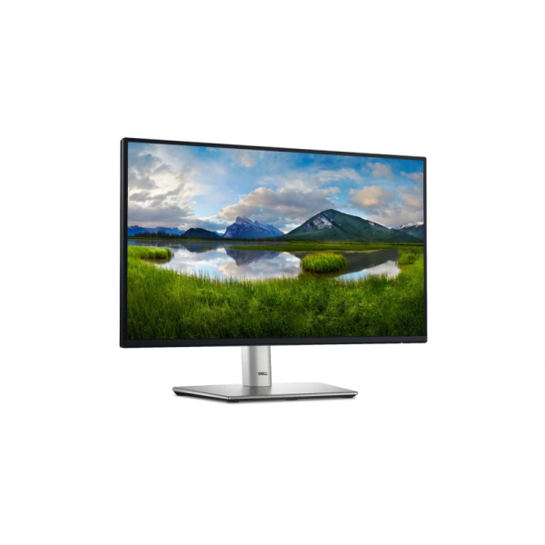 Monitor Dell P2225H 210-BMHD/5Y 21,5"
