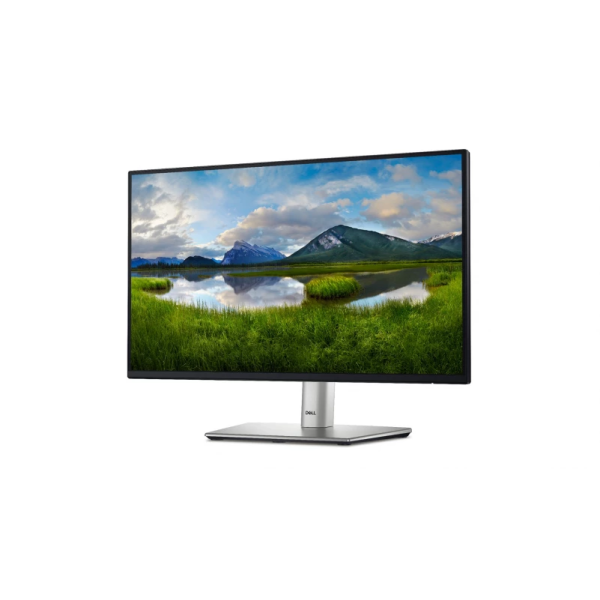 Monitor Dell P2225H 210-BMHD/5Y 21,5"