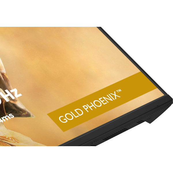 iiyama G-Master GB3295QSU-B1 Gold Phoenix - 240Hz | QHD | Fast VA | 31.5''