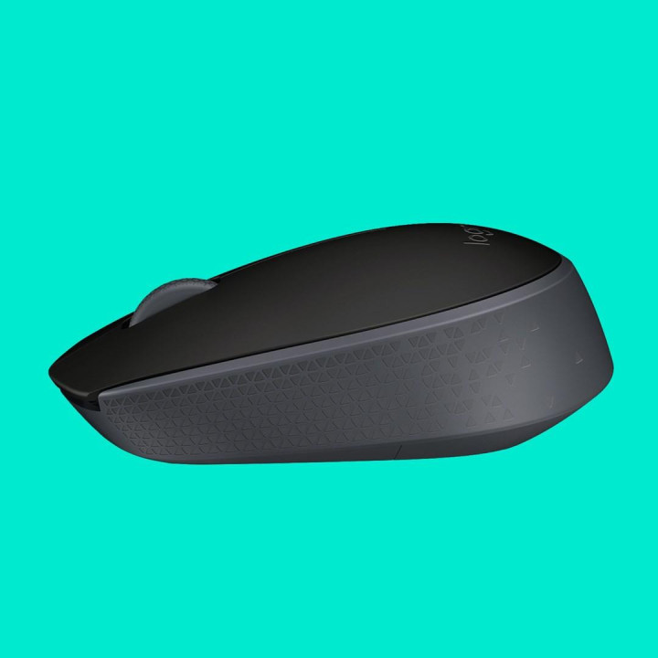 Logitech B170