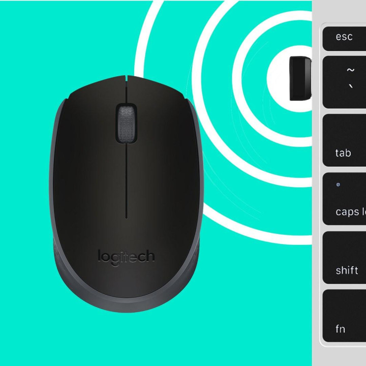 Logitech B170